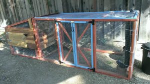 Chicken Coop
